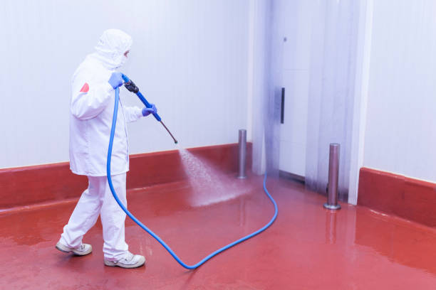 Best Restaurant Pressure Washing  in Belvidere, IL